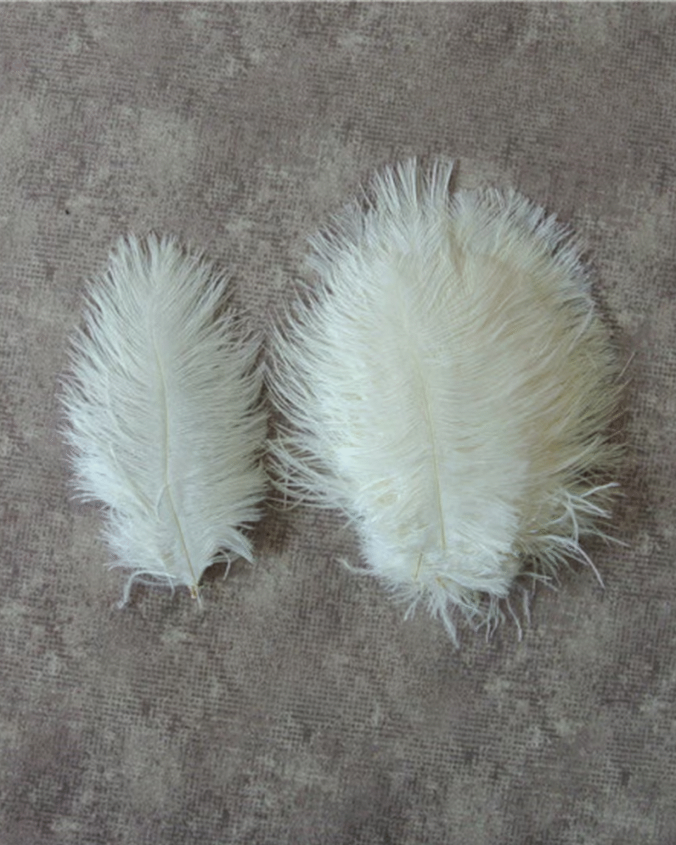 Safawala White Fluffy Feather Flume (10 pcs) | Turban Kalgi Pagdi Wedding Accessory