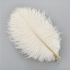 Safawala Royal Feather Kalgi (10 pcs) | Traditional Groom Turban Accessory