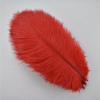 Safawala Royal Feather Kalgi (10 pcs) | Traditional Groom Turban Accessory