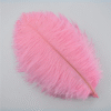 Safawala Royal Feather Kalgi (10 pcs) | Traditional Groom Turban Accessory