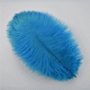 Safawala Royal Feather Kalgi (10 pcs) | Traditional Groom Turban Accessory
