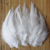 Safawala White Feather Flume (10 pcs) | Groom Turban Kalgi Pagdi Wedding Accessory